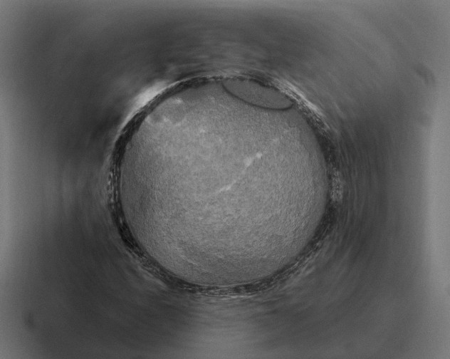 X0000116801208200912311929