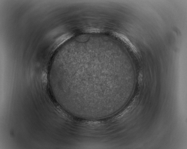 X0000116801209200912311929