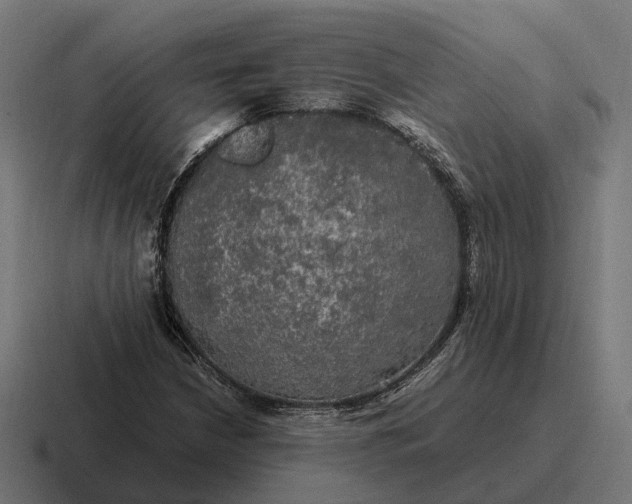 X0000116801210200912311929