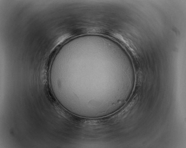 X0000116801211200912311929