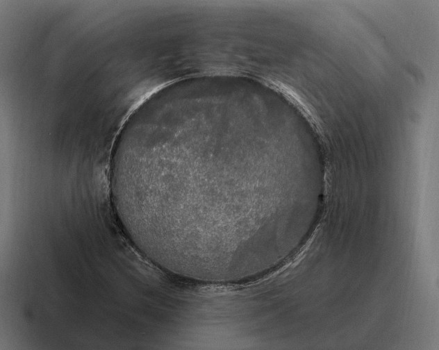 X0000116801212200912311929