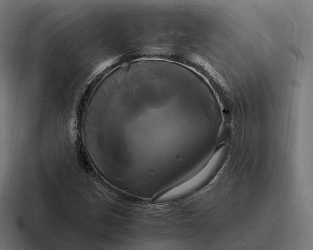 X0000116801213200912311930