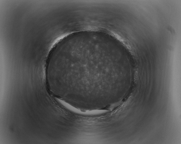 X0000116801214200912311930