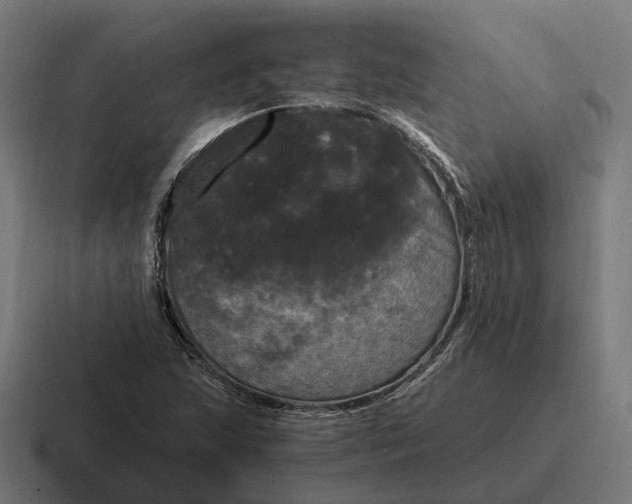 X0000116801215200912311930