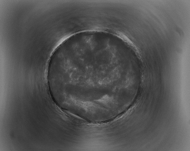 X0000116801216200912311930