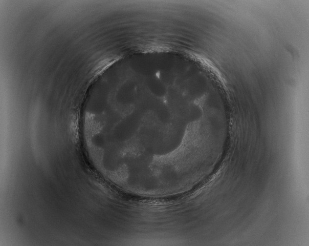 X0000116801217200912311930