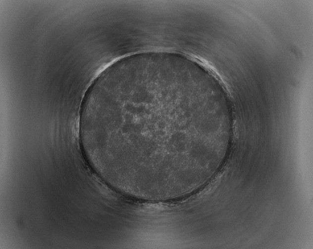 X0000116801220200912311930