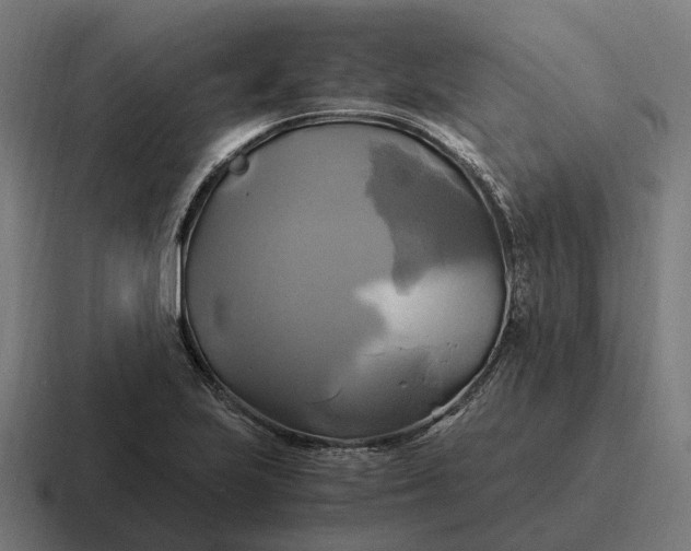 X0000116801223200912311930