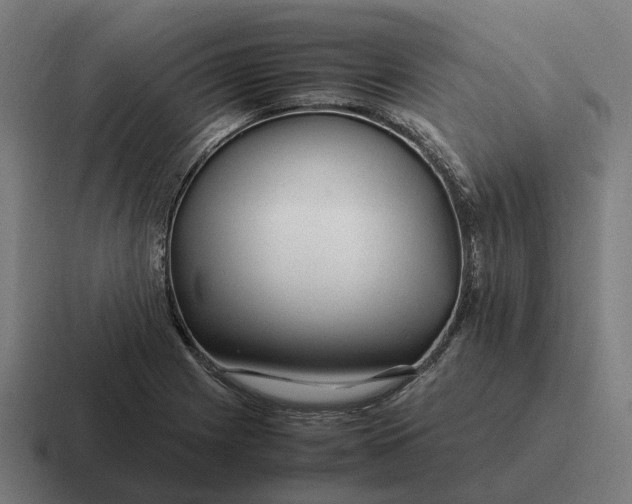 X0000116801225200912311930