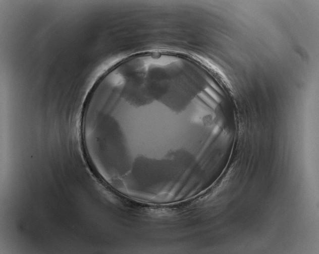 X0000116801231200912311930