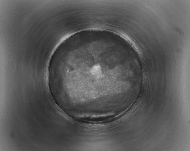 X0000116801232200912311930