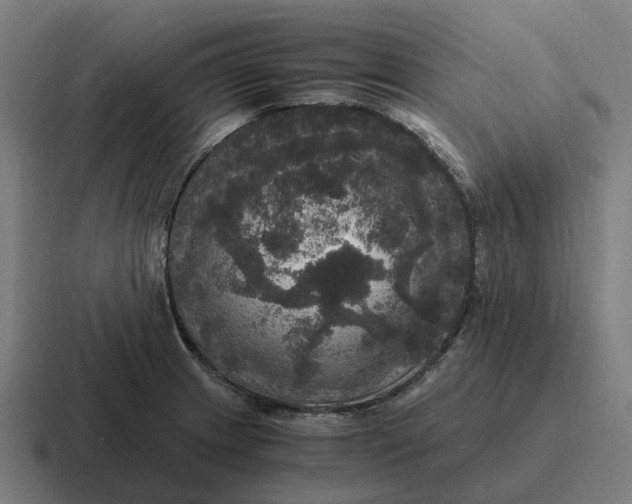 X0000116801233200912311930