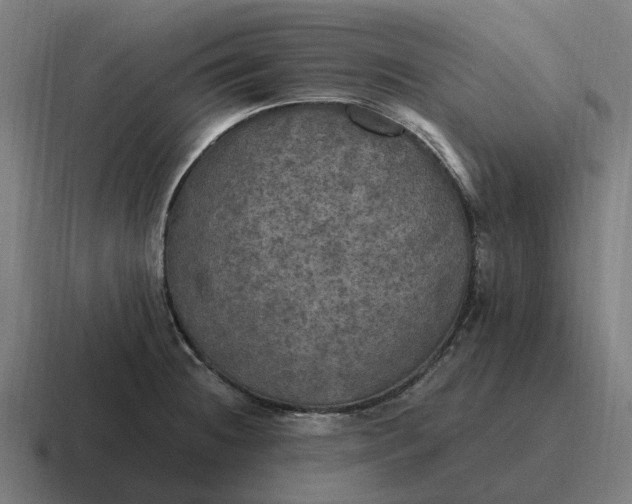 X0000116801236200912311930