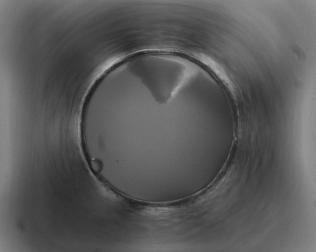 X0000116801237200912311930