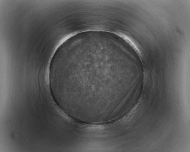 X0000116801238200912311930