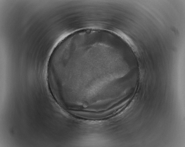 X0000116801240200912311930