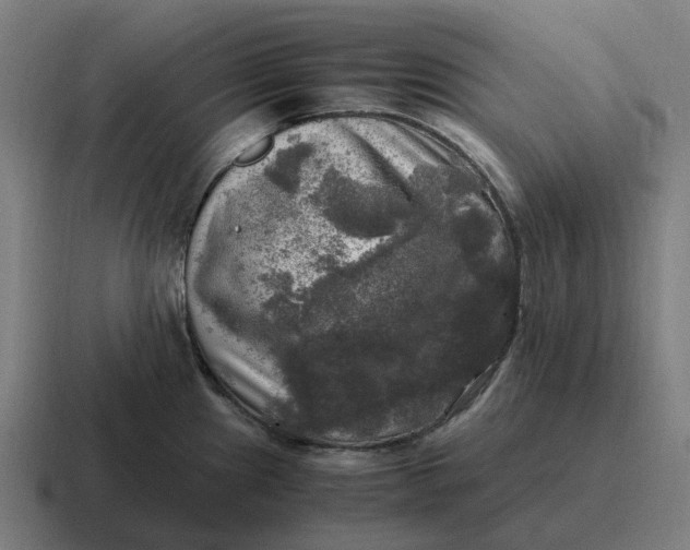 X0000116801241200912311930