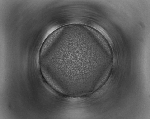 X0000116801242200912311930