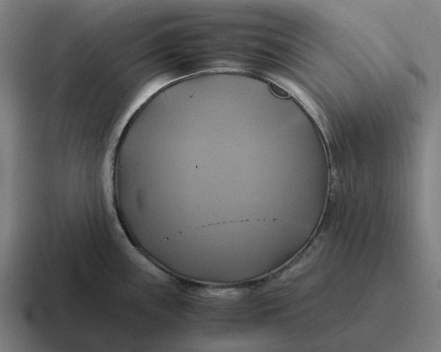 X0000116801243200912311930