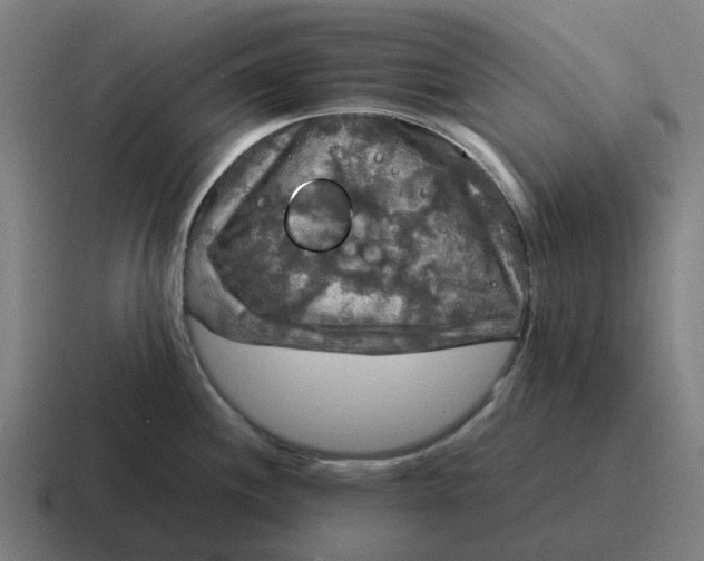 X0000116801244200912311930