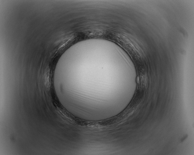 X0000116801250200912311929