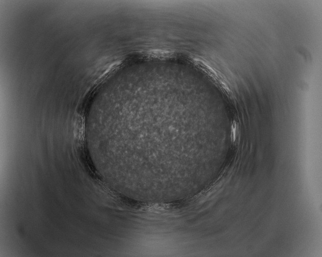 X0000116801251200912311929