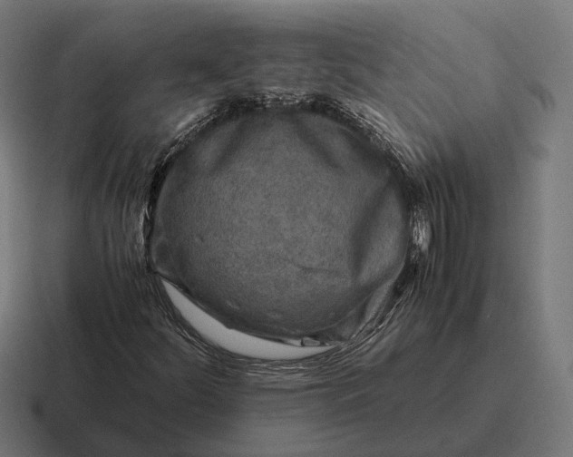 X0000116801252200912311929