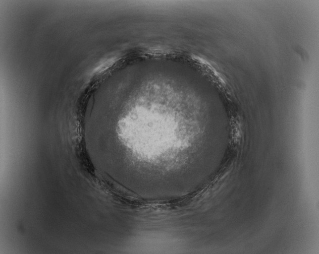 X0000116801253200912311929