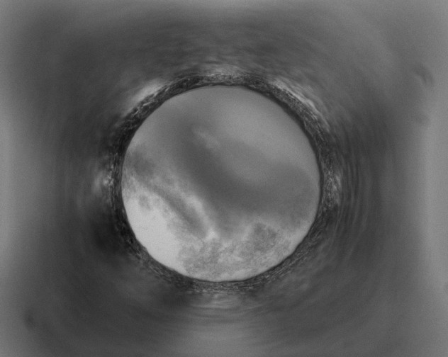 X0000116801254200912311929