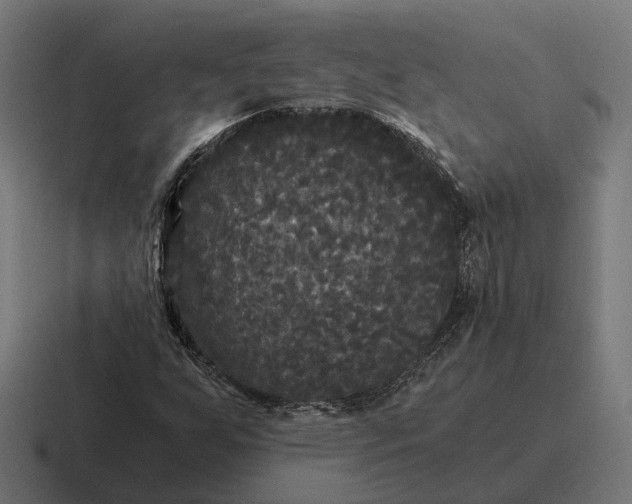 X0000116801255200912311929