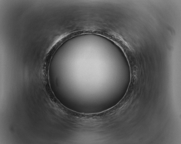 X0000116801256200912311929