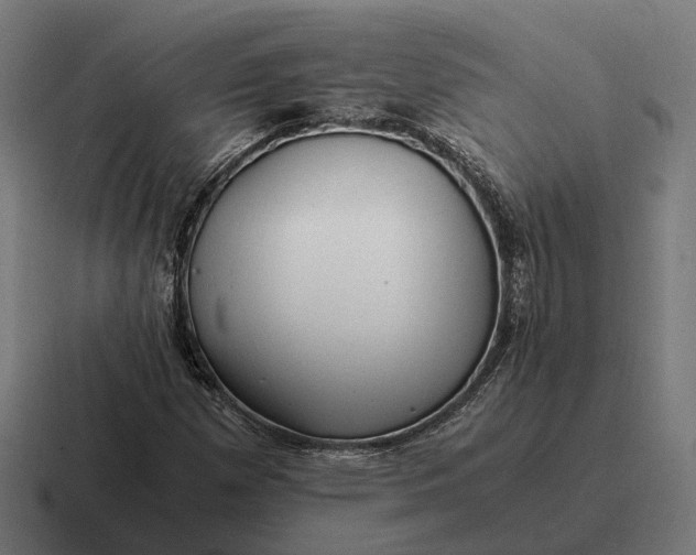 X0000116801257200912311929