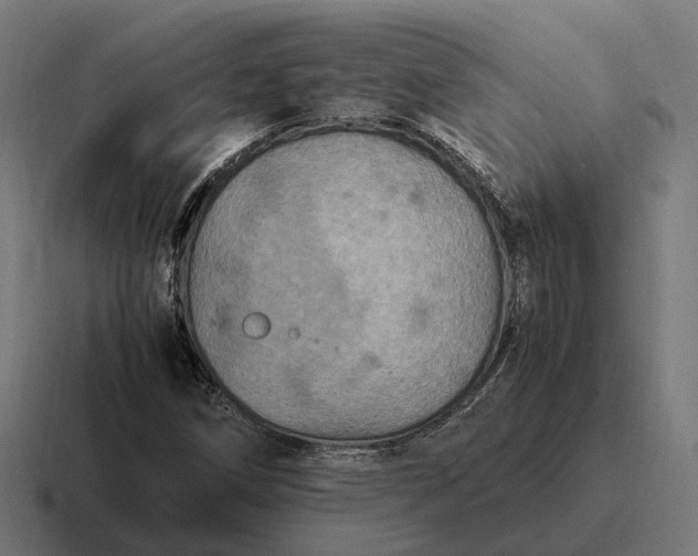 X0000116801258200912311929