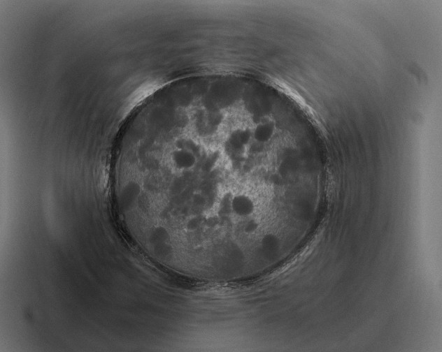 X0000116801259200912311929