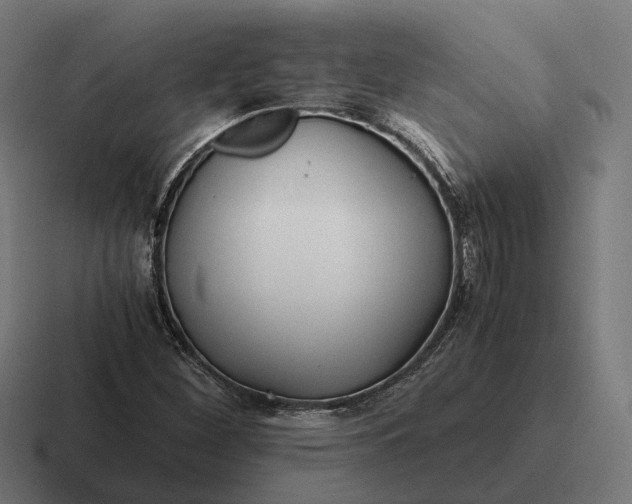 X0000116801260200912311929