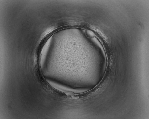 X0000116801261200912311929