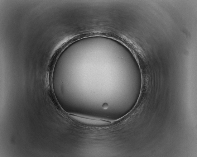 X0000116801262200912311929