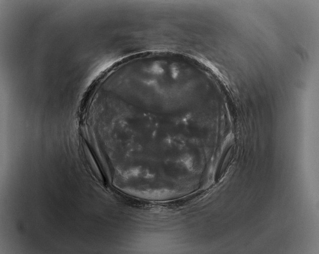 X0000116801263200912311929