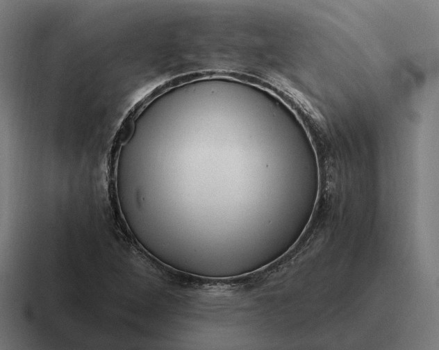 X0000116801264200912311929