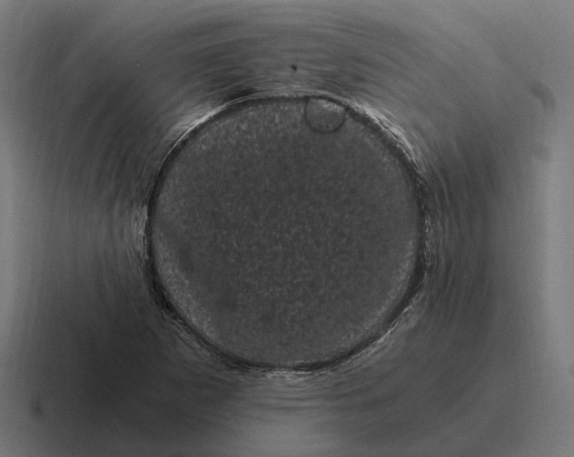 X0000116801265200912311929