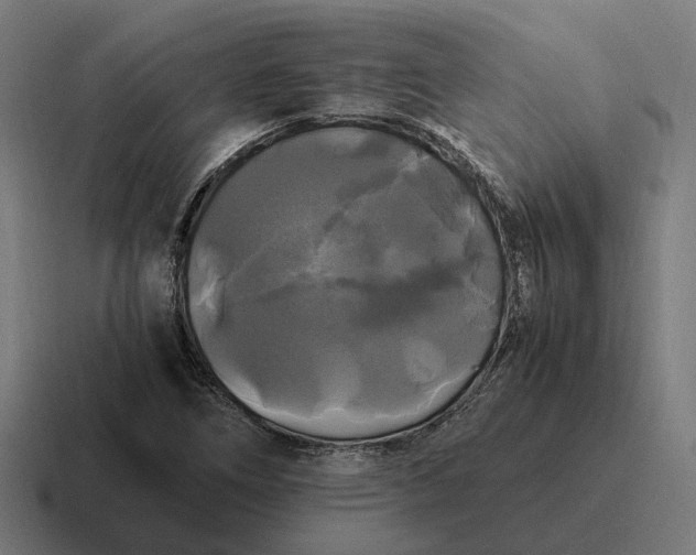 X0000116801266200912311929