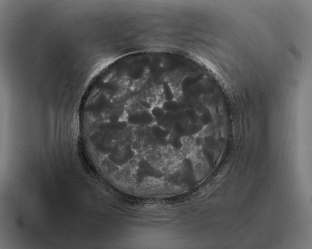 X0000116801267200912311929