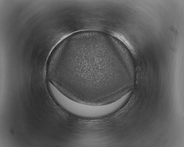 X0000116801268200912311929