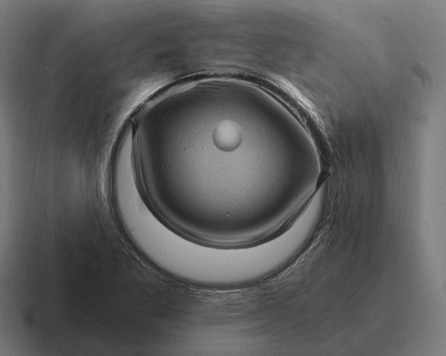 X0000116801269200912311929