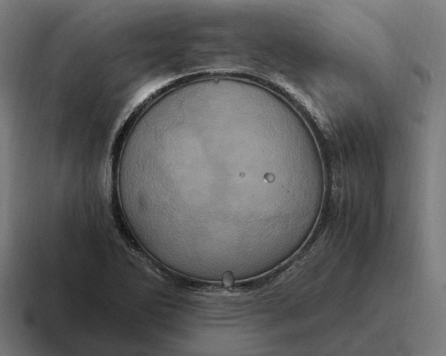 X0000116801270200912311929