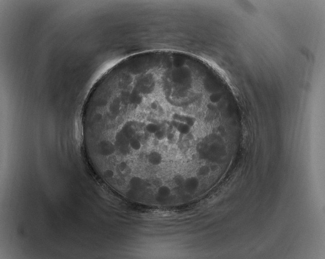 X0000116801271200912311929