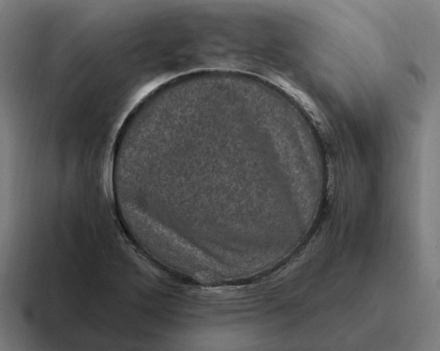 X0000116801272200912311929