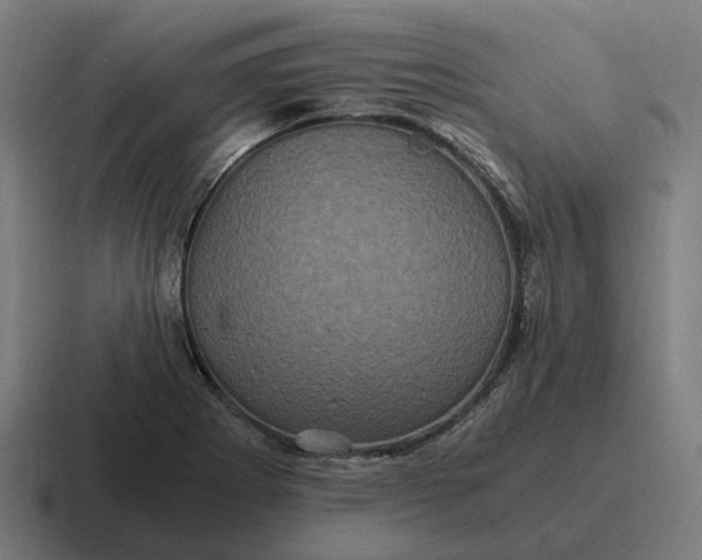 X0000116801273200912311929