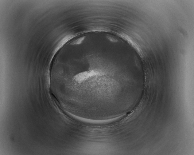 X0000116801274200912311929