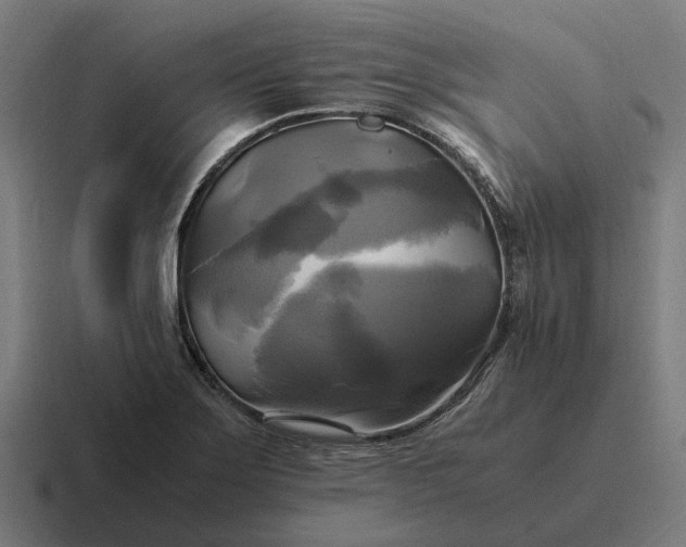 X0000116801275200912311929